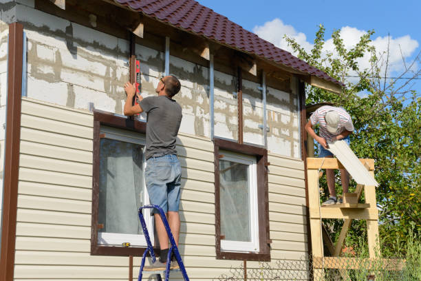 Best Custom Trim and Detailing for Siding  in Wyandotte, MI